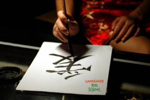 Lời khuyên Language Arts School (LAS) dành cho người mới nhập môn