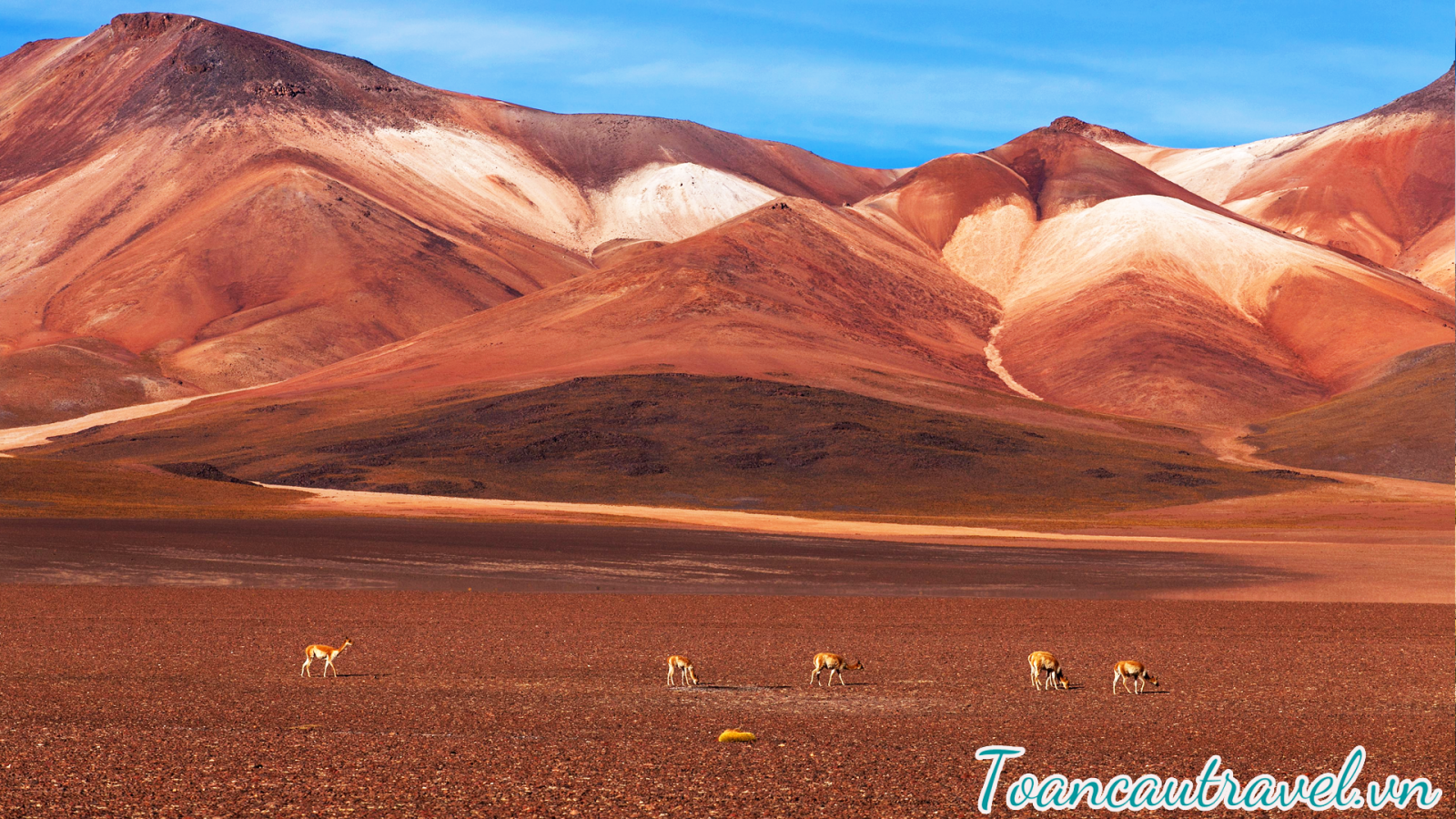 Altiplano 