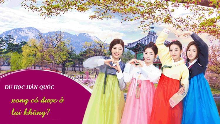 [Hỏi - Đáp Du Học] - Du học hàn quốc xong có được ở lại không?