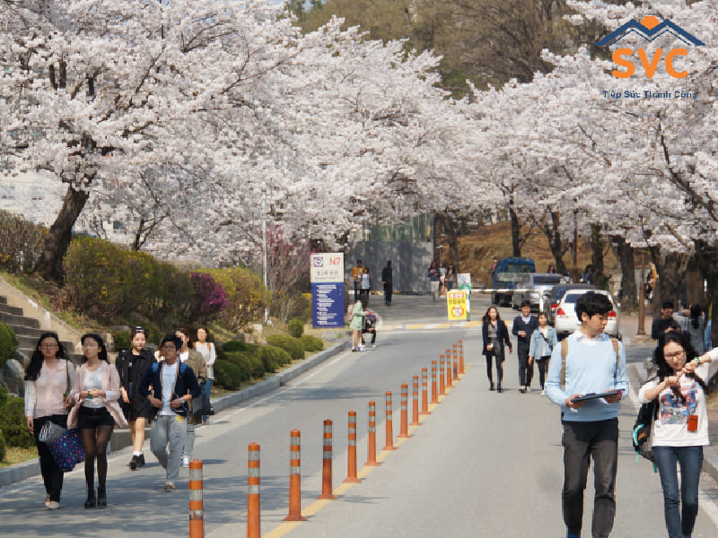 Các kì nhập học tiếng Hàn của các trường Đại học tại Hàn Quốc