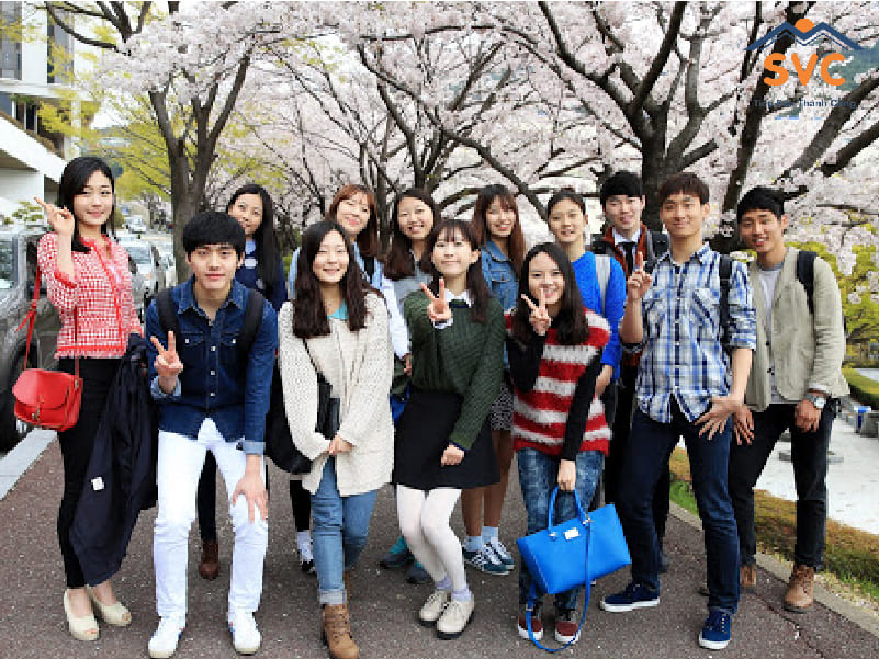 Chương trình đào tạo hệ cao đẳng tại Hàn Quốc