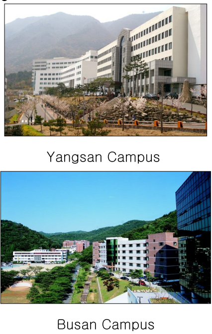 Các cơ sở Đại học Youngsan