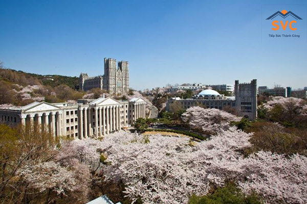 Đại học Kyung Hee