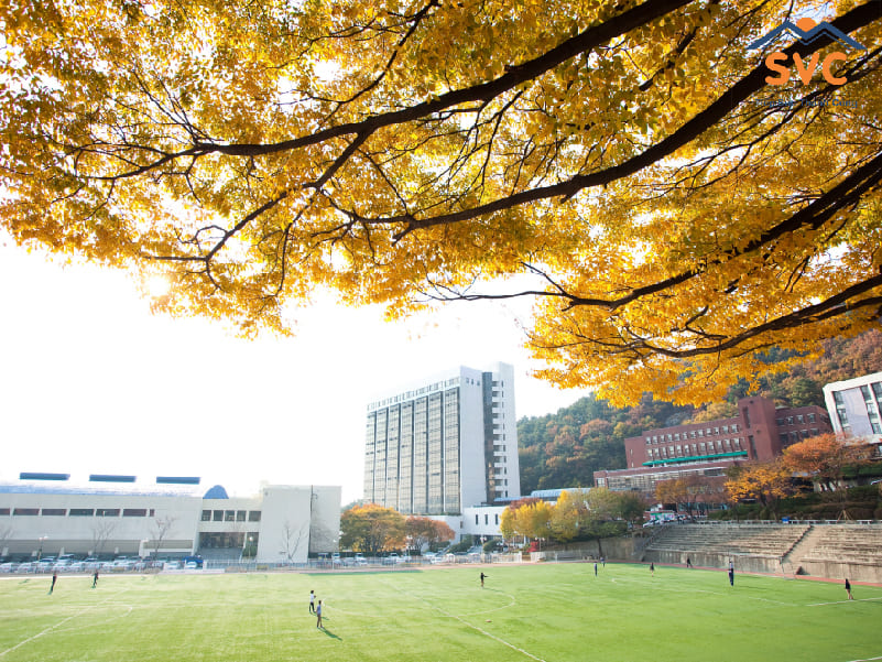 Lưu ý về các trường đại học ở Hàn Quốc có visa thẳng